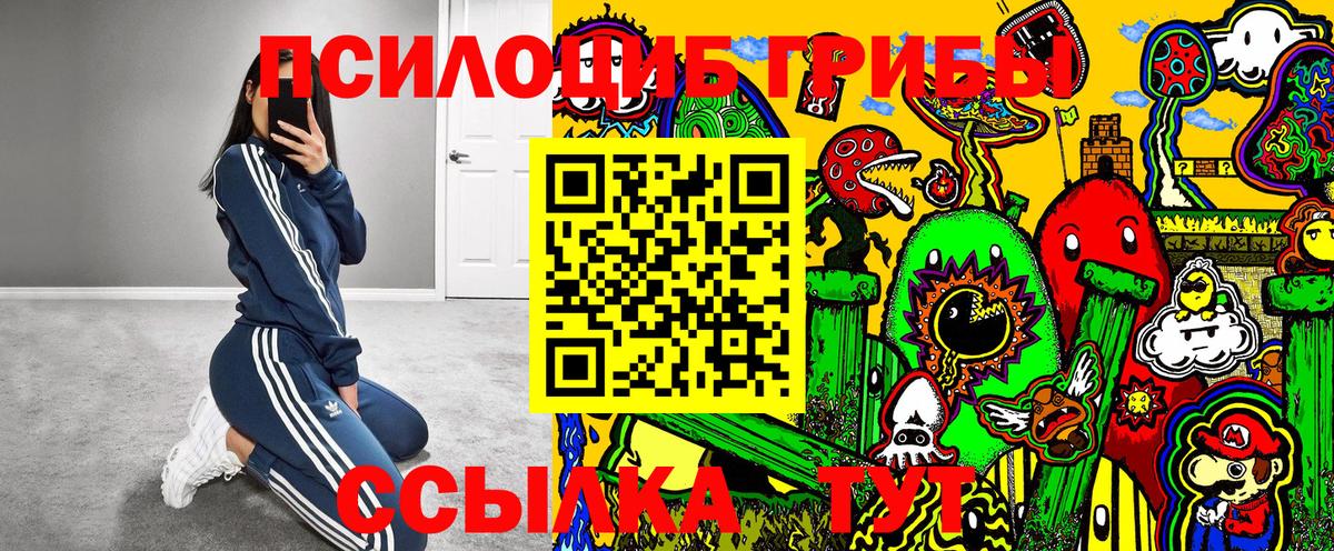 Галлюциногенные грибы GOLDEN TEACHER  Вход с VPN  Галлюциногенные грибы Psilocybe  закладка  Комсомольск-на-Амуре 